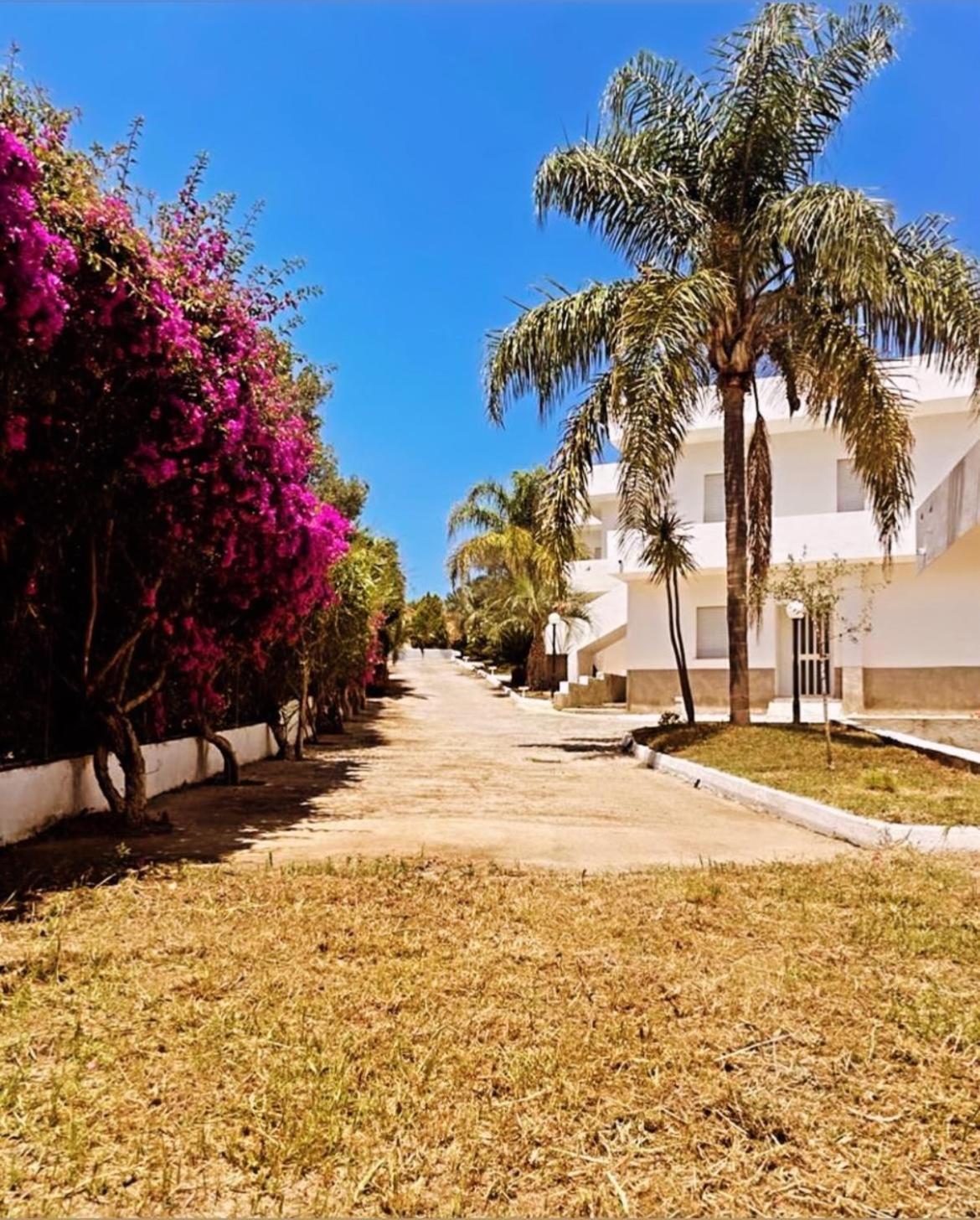 Il Giardino Di Capo Vaticano B&B And Apartments Exterior photo