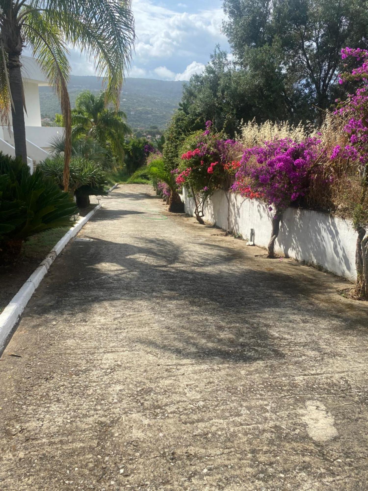 Il Giardino Di Capo Vaticano B&B And Apartments Exterior photo